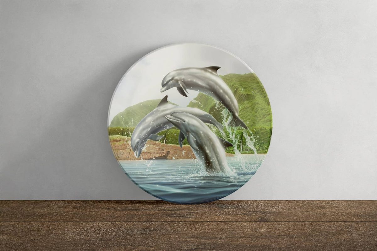 001 3Dolphins PlateFront